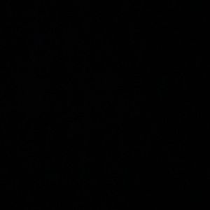 Meet your Posher, Bella